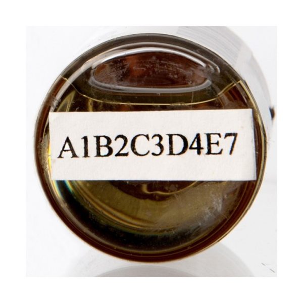 p1RtjA95lEvrtvN6SiZA